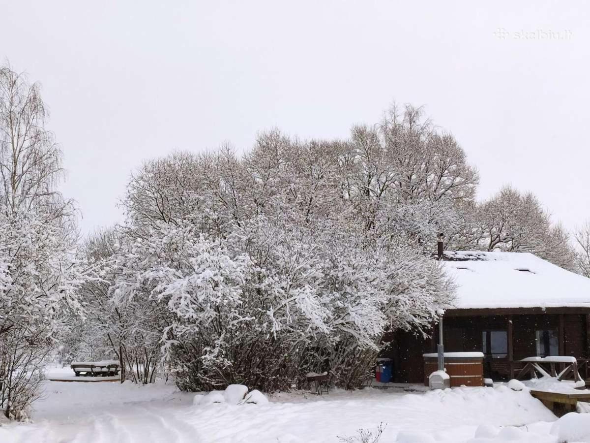 Akmeninis Bebras Villa Zemaiteliai Exteriör bild