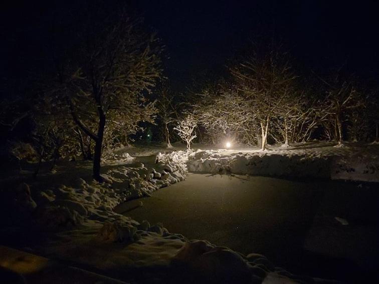 Akmeninis Bebras Villa Zemaiteliai Exteriör bild