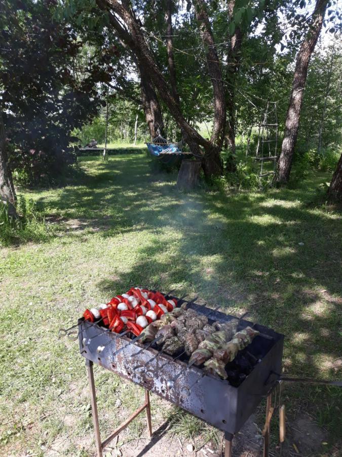 Akmeninis Bebras Villa Zemaiteliai Exteriör bild